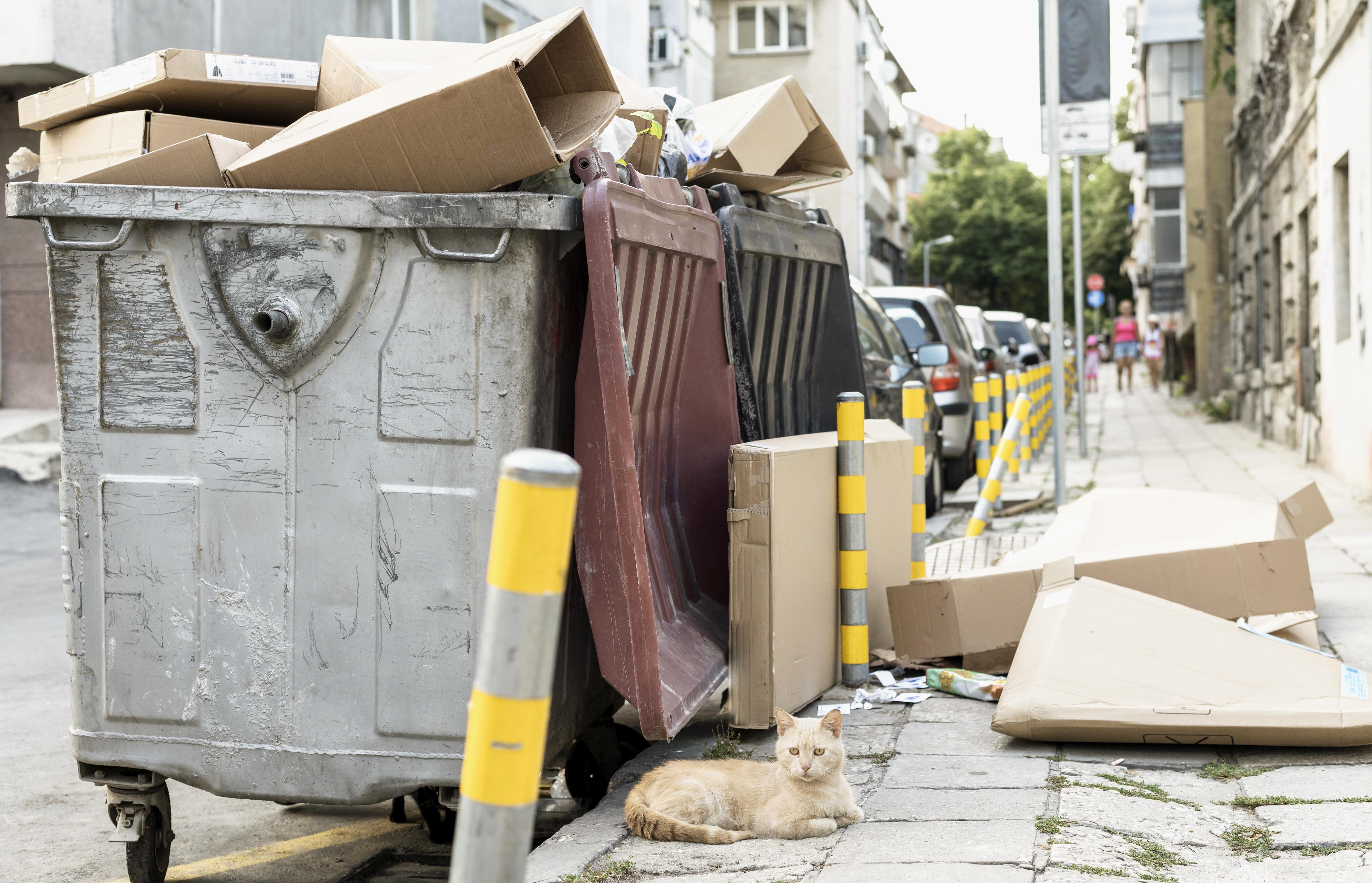 Caçamba para Construção em Carapicuíba